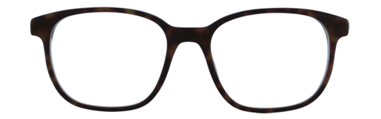 Life Is Good Briana Eyeglasses - view 4